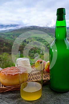 cider made fromÂ fermented apples and Asturian cow smoked cheese and view Picos de Europa mountains on background